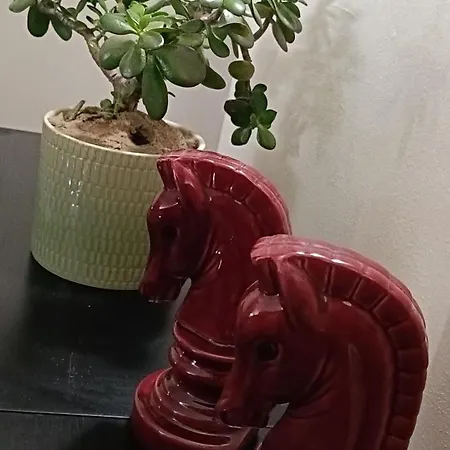 Sun And Caparica Apartament