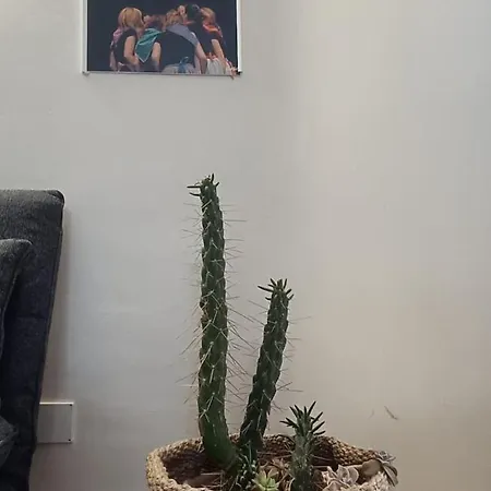 Apartament Sun And Caparica